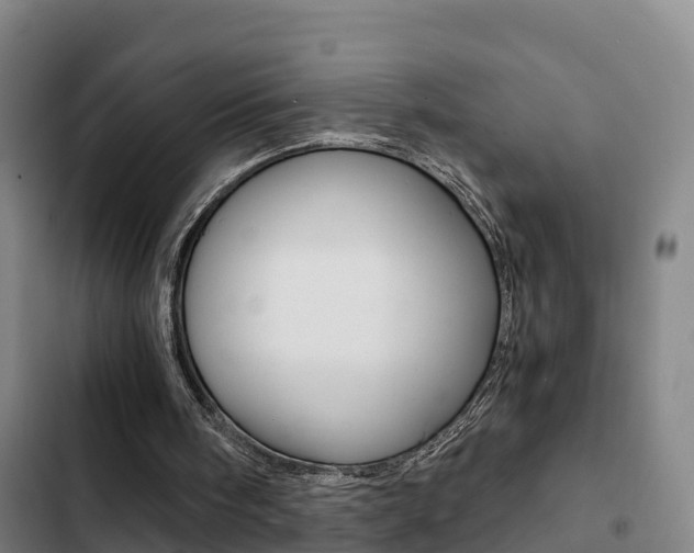 X0000103270098200808291116