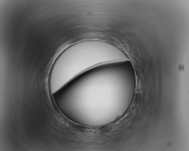 X0000103270099200808291116