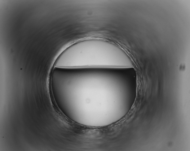 X0000103270100200808291116
