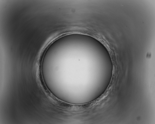 X0000103270101200808291116