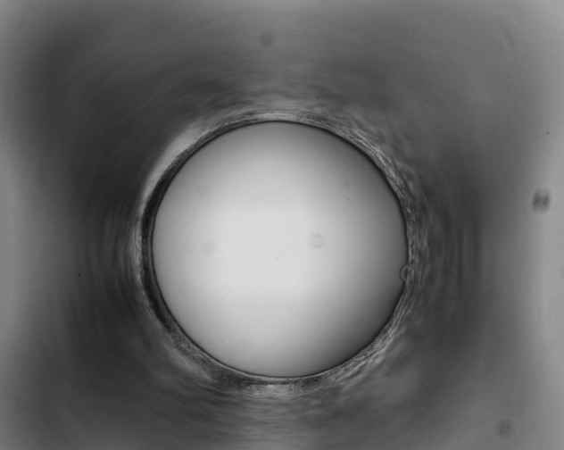 X0000103270102200808291116