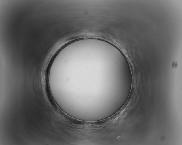 X0000103270103200808291116
