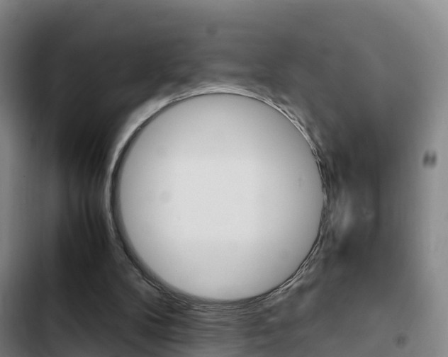 X0000103270104200808291116