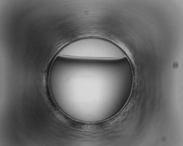 X0000103270105200808291116