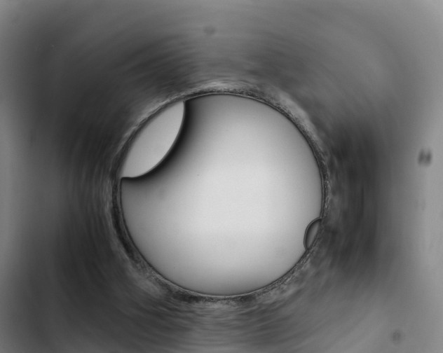 X0000103270106200808291116