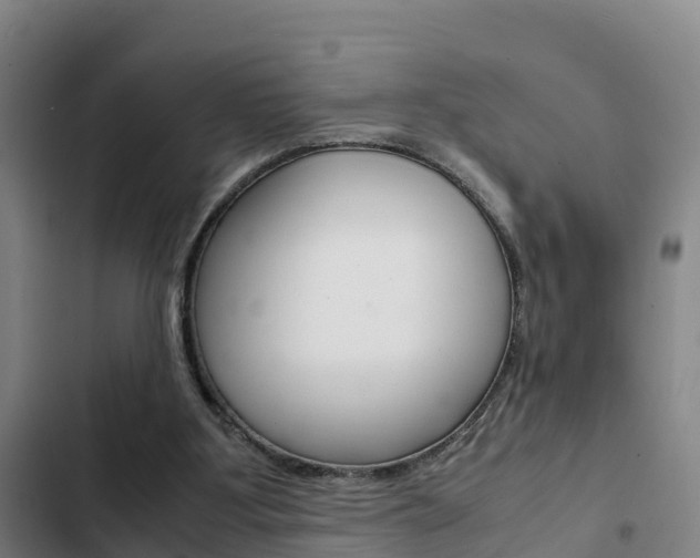 X0000103270107200808291116