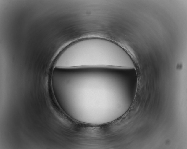 X0000103270108200808291116