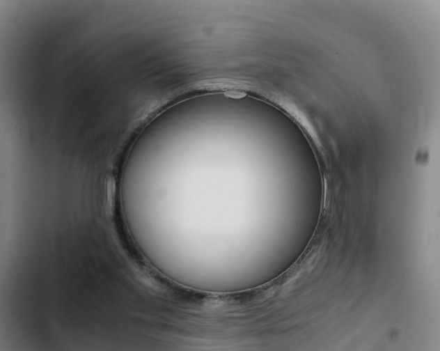 X0000103270109200808291116