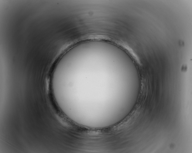 X0000103270110200808291116