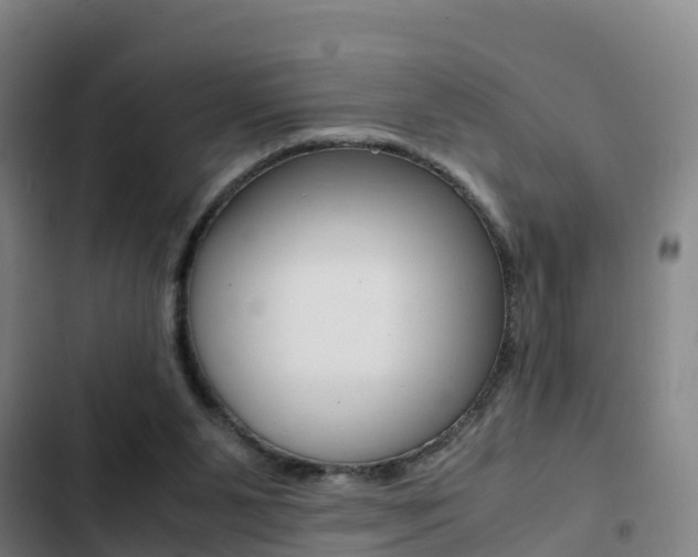 X0000103270111200808291116