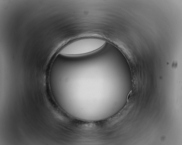 X0000103270112200808291116