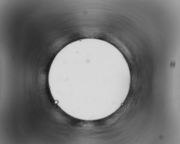 X0000103270113200808291116