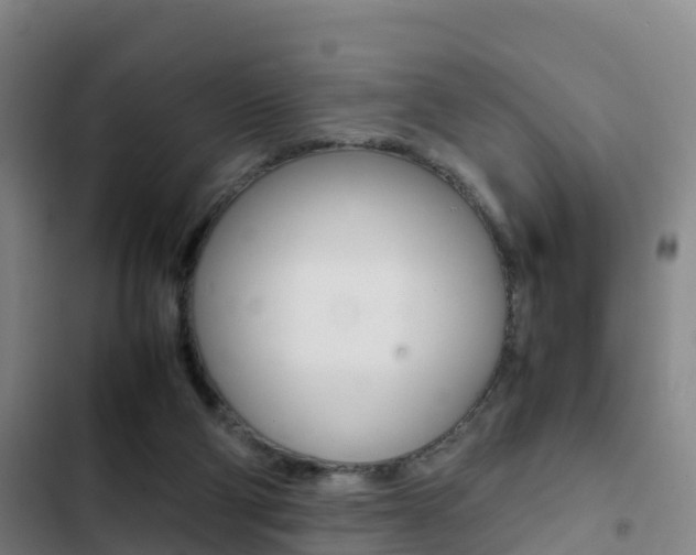 X0000103270114200808291116