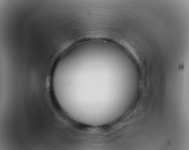 X0000103270115200808291116