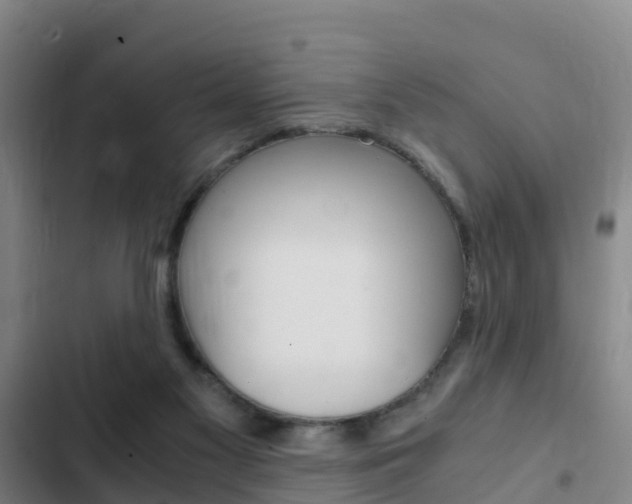 X0000103270117200808291116