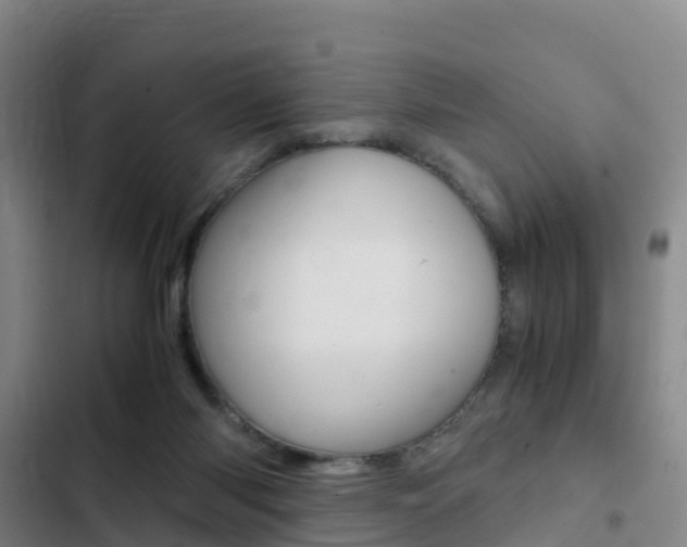 X0000103270118200808291116