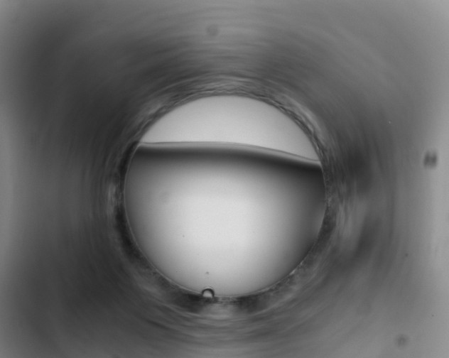 X0000103270119200808291116