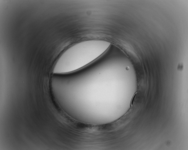 X0000103270120200808291116