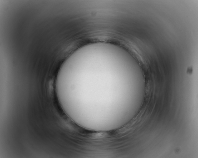 X0000103270122200808291116