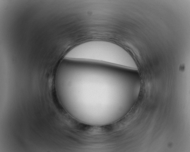 X0000103270123200808291116