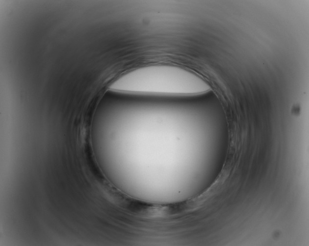 X0000103270124200808291116