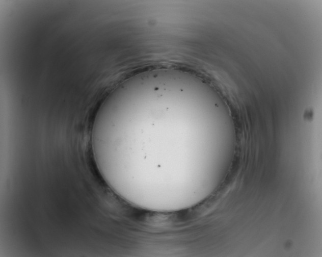 X0000103270129200808291116