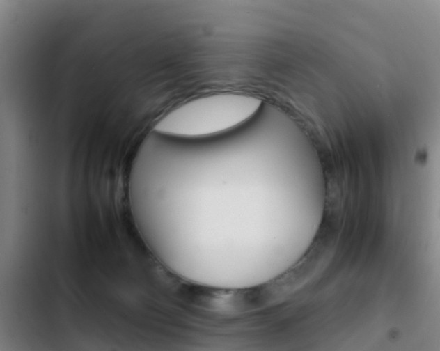 X0000103270130200808291116