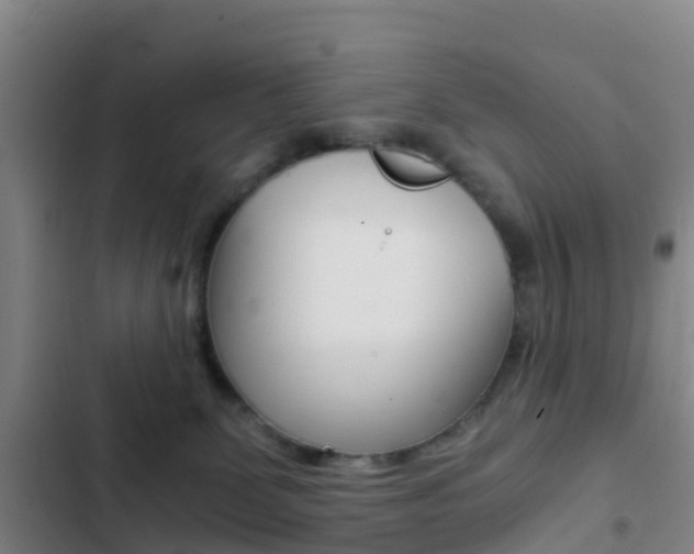 X0000103270131200808291116