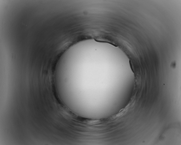 X0000103270132200808291116