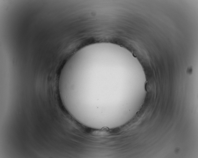 X0000103270133200808291116