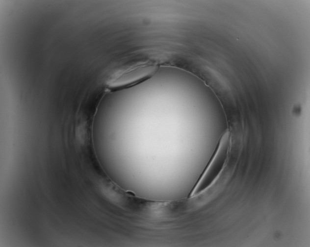 X0000103270136200808291116