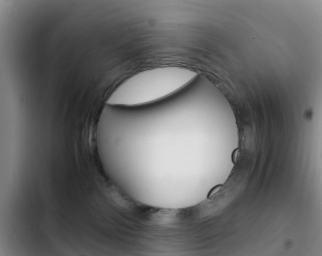 X0000103270138200808291115