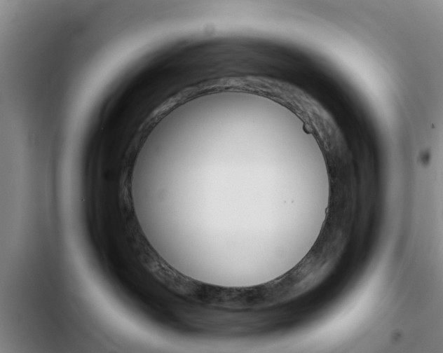 X0000103270142200808291115