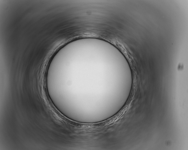 X0000103270145200808291115