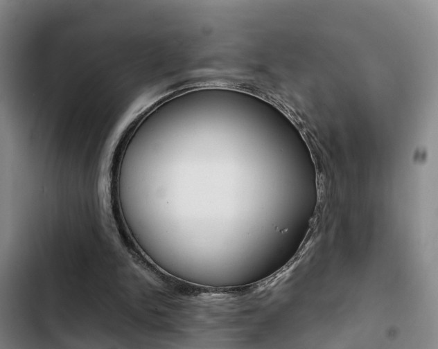 X0000103270150200808291115