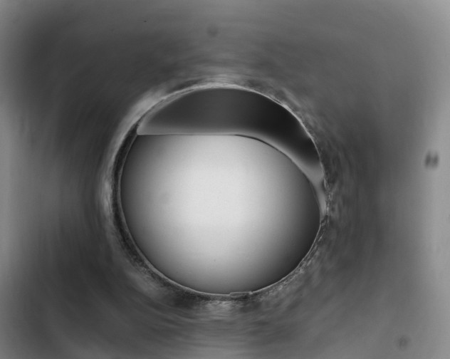 X0000103270152200808291115