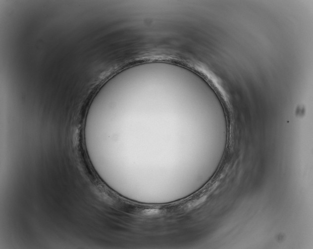 X0000103270153200808291115