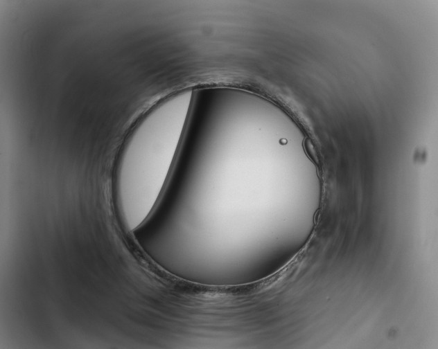 X0000103270154200808291115