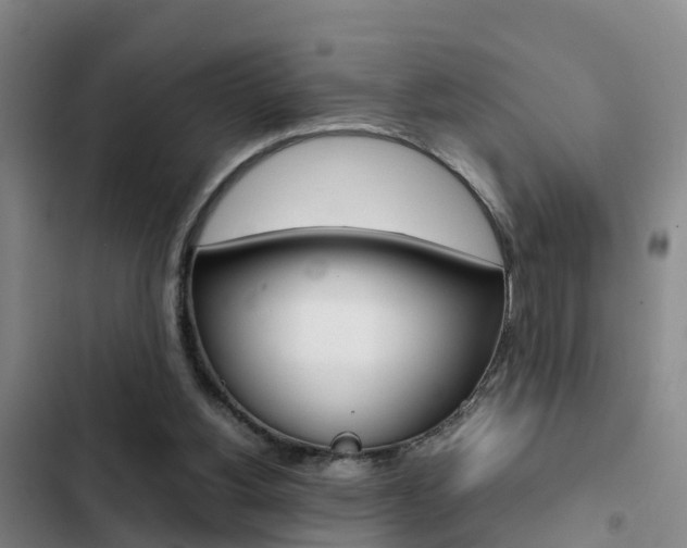 X0000103270156200808291115
