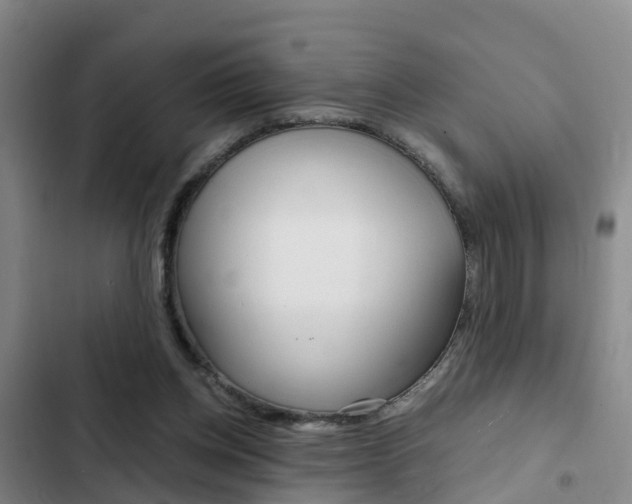 X0000103270158200808291115
