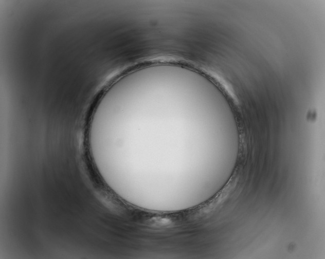 X0000103270159200808291115