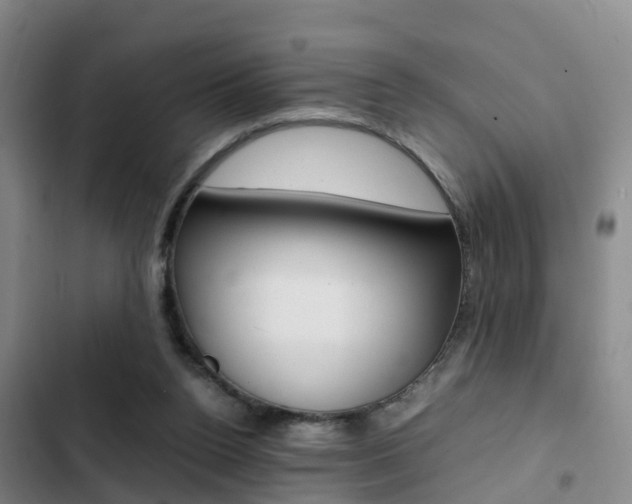 X0000103270160200808291115