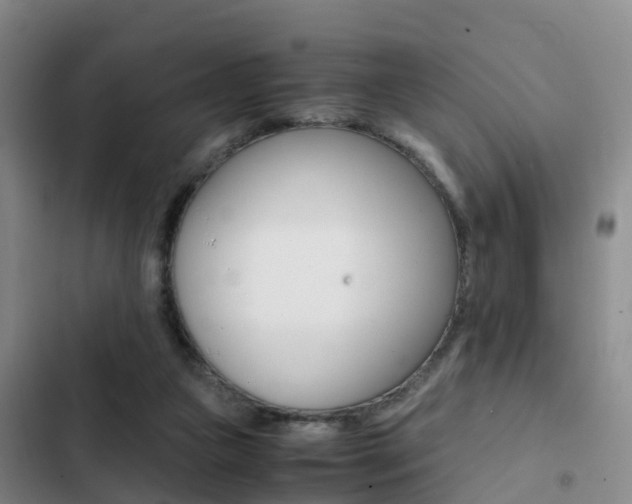X0000103270161200808291115