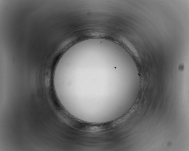 X0000103270163200808291115