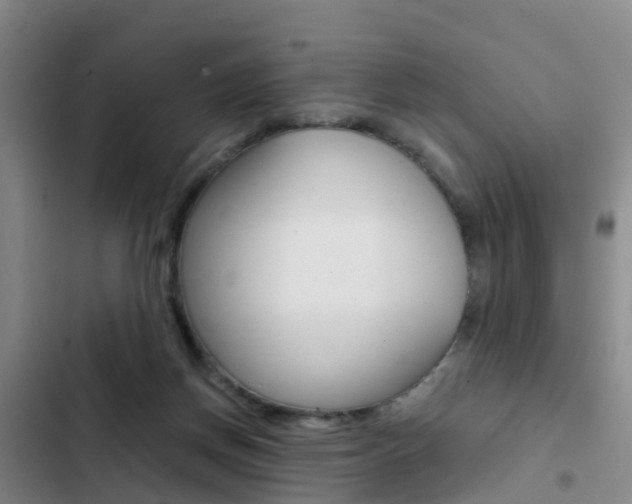 X0000103270166200808291115