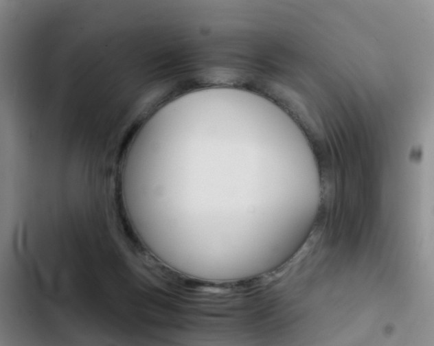 X0000103270167200808291115