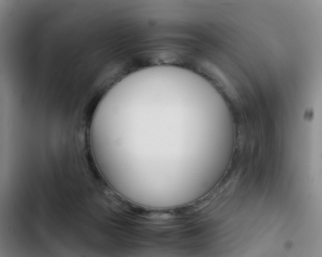 X0000103270169200808291115