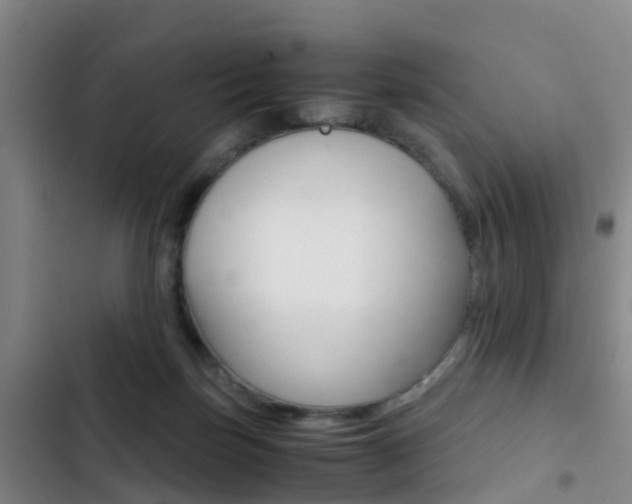 X0000103270171200808291115