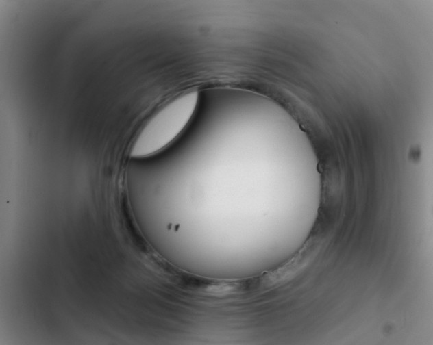 X0000103270172200808291115