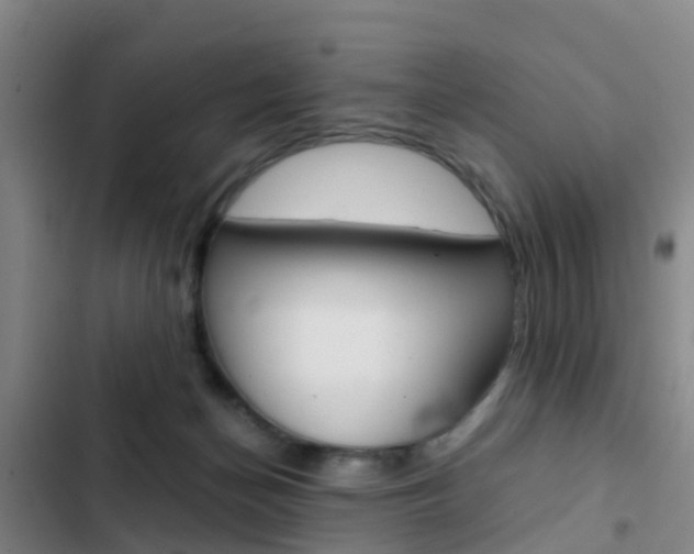 X0000103270174200808291115